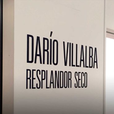 Visites comentades a <em>Darío Villalba. Resplandor seco</em>