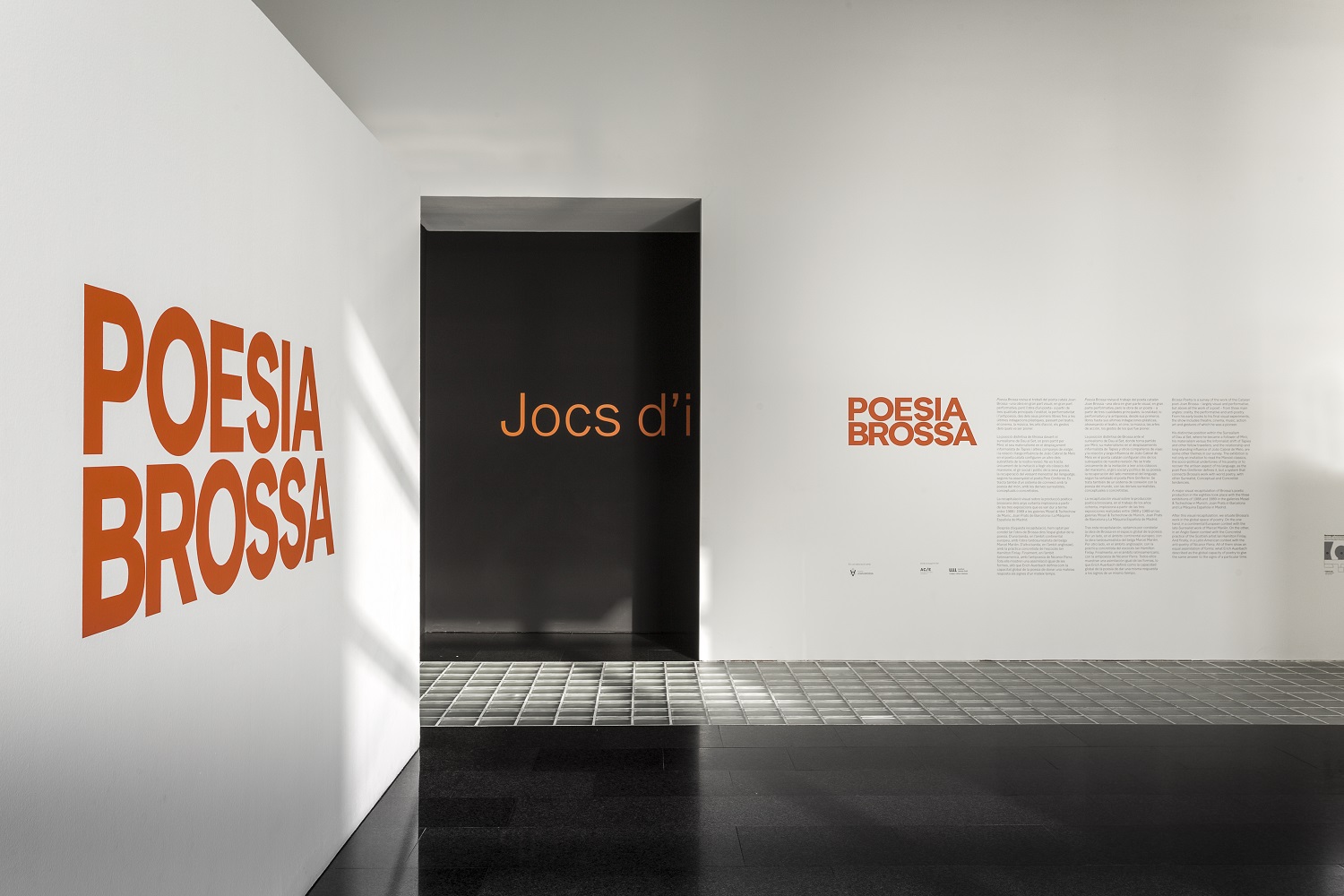 MACBA-BROSSA-2017