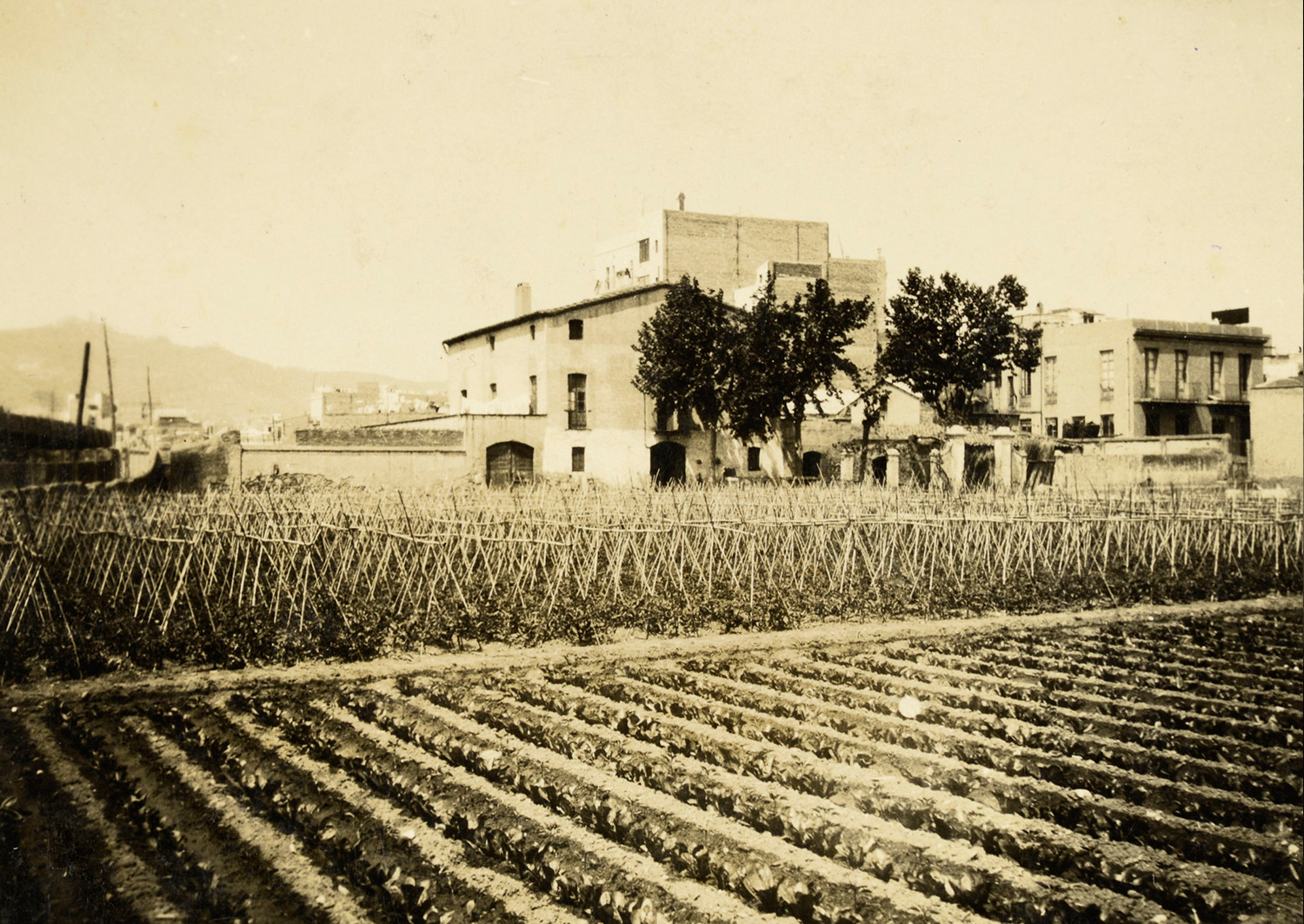 1931 AMDS Horts de la masia de can Mantega i al fons edificis del districte de Sants i la serra de Collserola. Autor Manuel Blasi